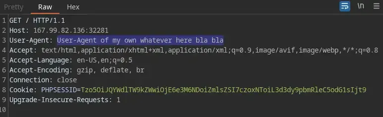 Injecting User-Agent